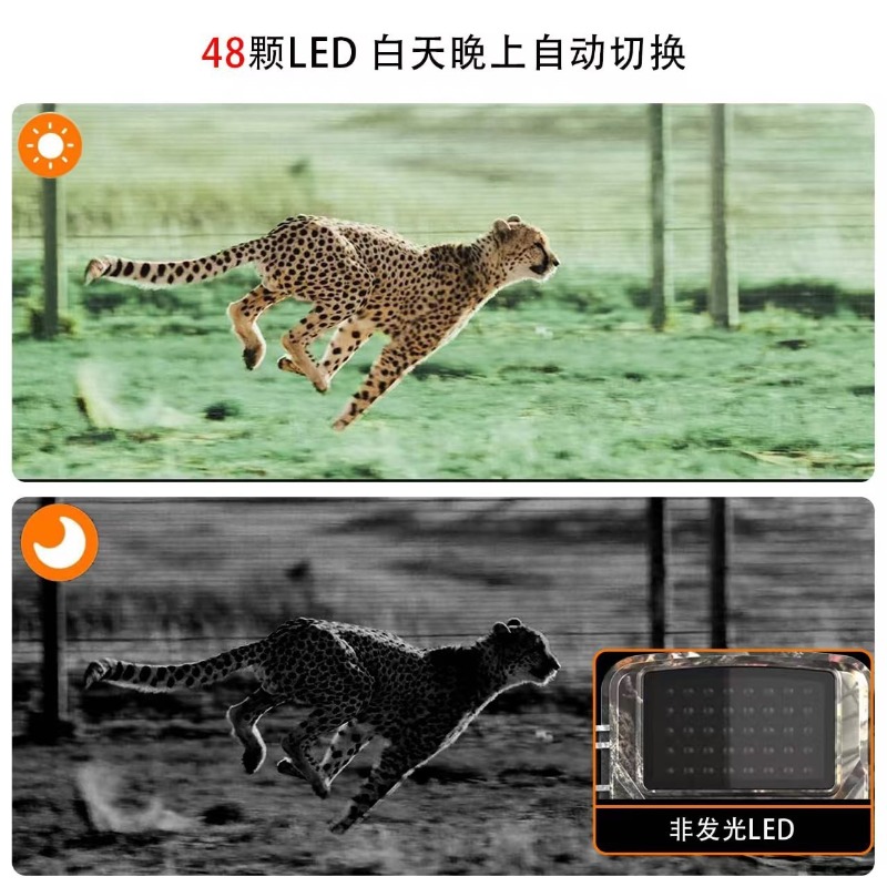 HOT SALE DL001 Hunting Camera  - Outdoor Hunting Video Camera recension och pris