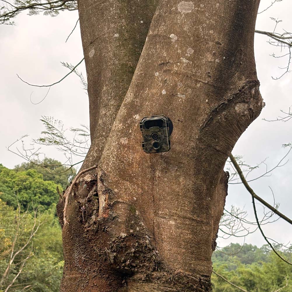Hunting Trail Camera 16MP 1080 - Outdoor Hunting Video Camera recension och pris