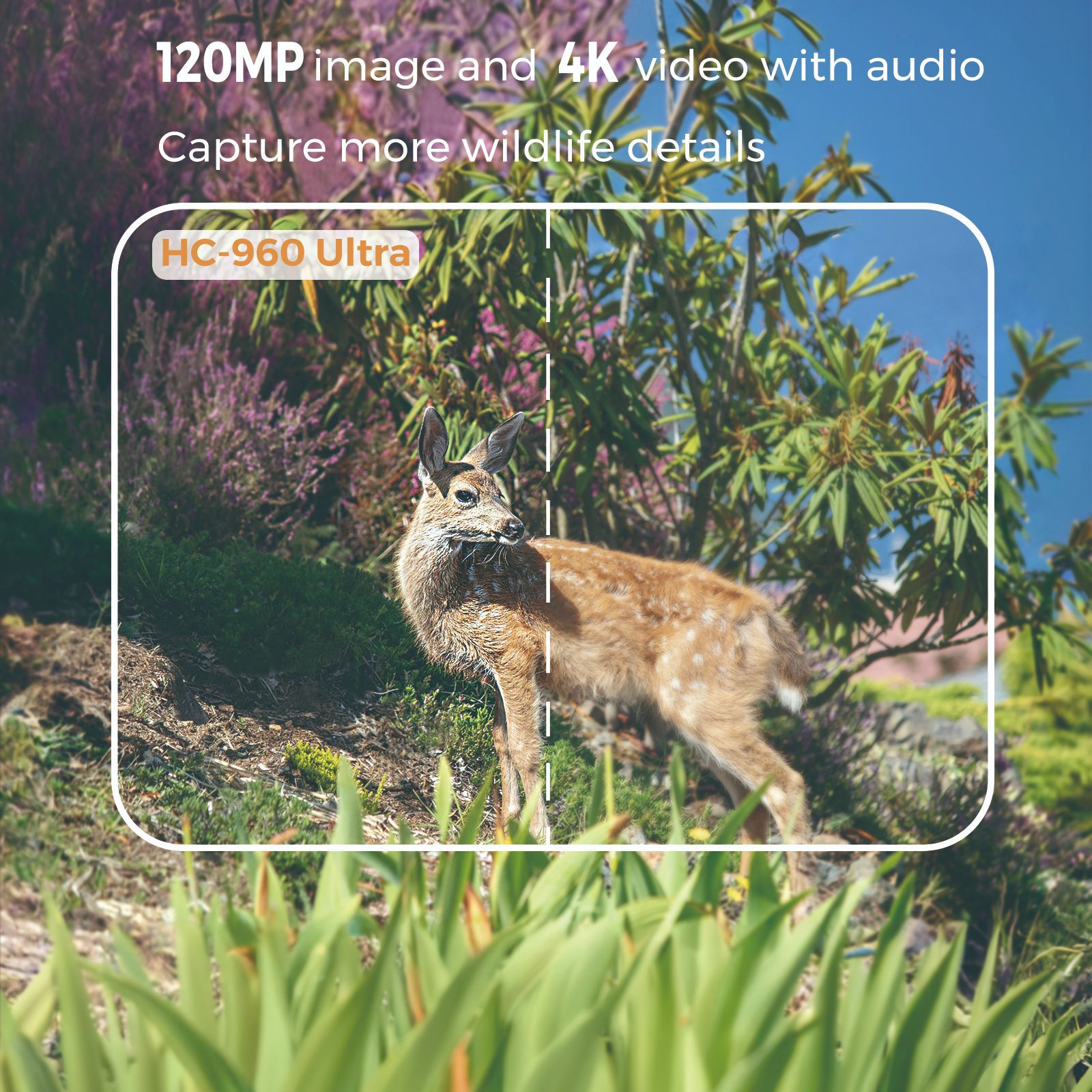 Outdoor 4K Video 120MP Photo 4 - Outdoor Hunting Video Camera recension och pris