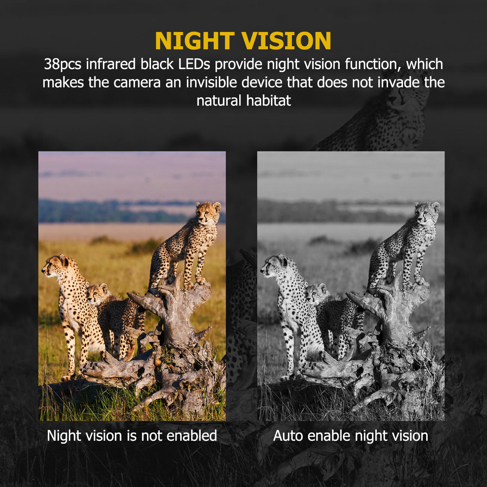 Hunting Game Camera 12Mp Pir N - Outdoor Hunting Video Camera recension och pris