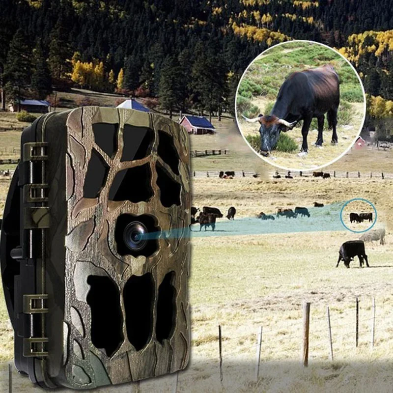 H982 IP66 Waterproof 4K Outdoo - Outdoor Hunting Video Camera recension och pris
